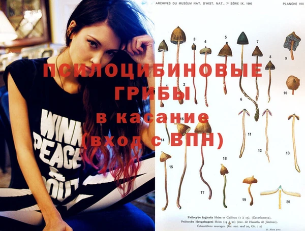 прущие крисы Медногорск