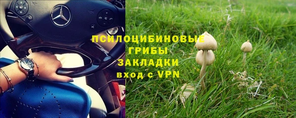 трава Мегион