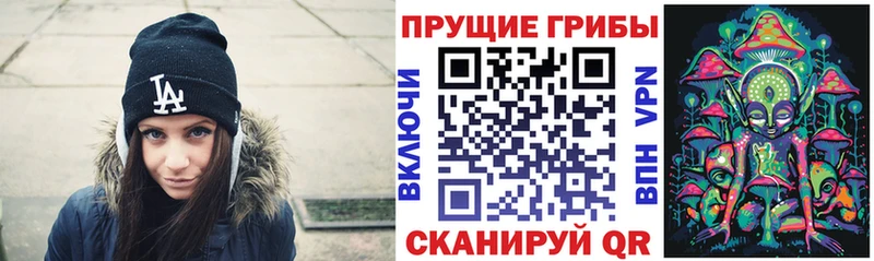 Галлюциногенные грибы Cubensis  OMG ONION  Новомосковск 